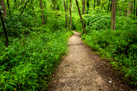 Lincoln State Park - Trail 1