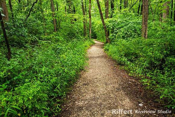 Lincoln State Park - Trail 1