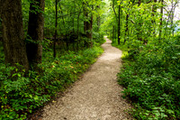 Lincoln State Park - Trail 1-2