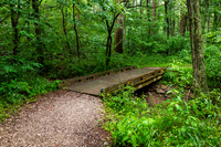Lincoln State Park - Trail 1-5