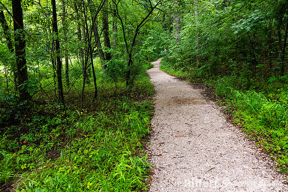Lincoln State Park - Trail 1-6