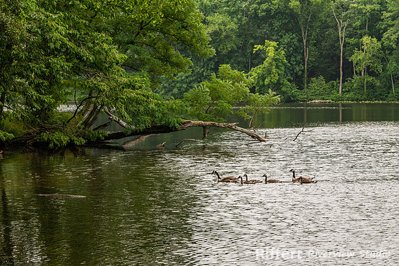 Lincoln State Park - Trail 1-7