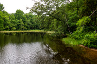 Lincoln State Park - Trail 1-8