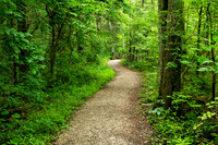 Lincoln State Park - Trail 1-10
