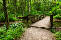 Lincoln State Park - Trail 1-11