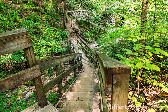 McCormick's Creek-8