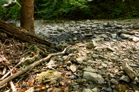 McCormick's Creek-9