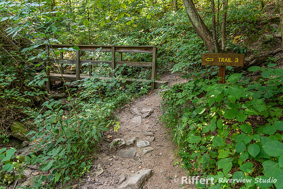 McCormick's Creek-11