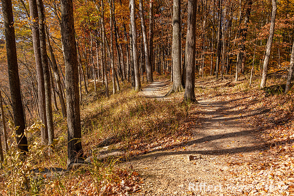 McCormick's Creek-16