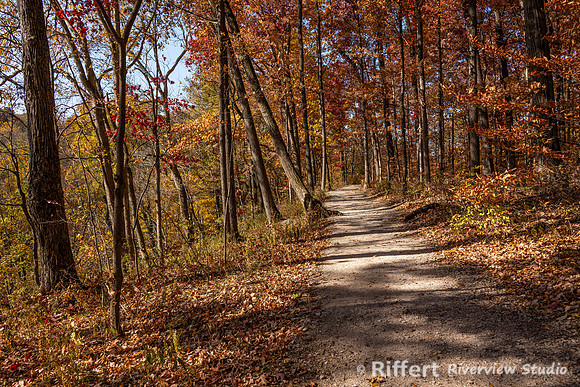 McCormick's Creek-15
