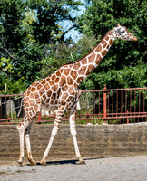 Mesker Park Zoo-3