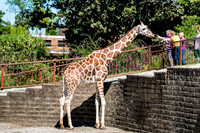 Mesker Park Zoo-4