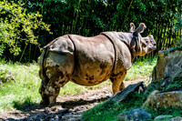 Mesker Park Zoo-7