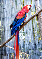 Mesker Park Zoo-9