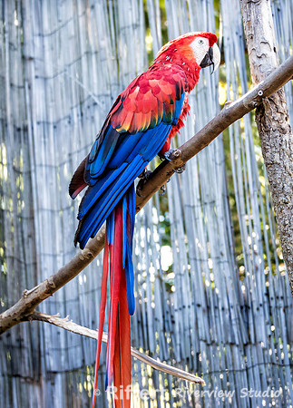 Mesker Park Zoo-9