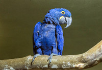 Mesker Park Zoo-14