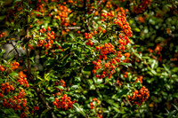 Mesker Park Zoo-19