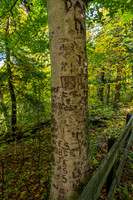 Shades State Park-6