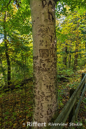 Shades State Park-6
