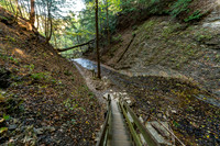 Shades State Park-8