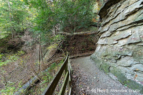 Shades State Park-9