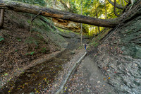 Shades State Park-10