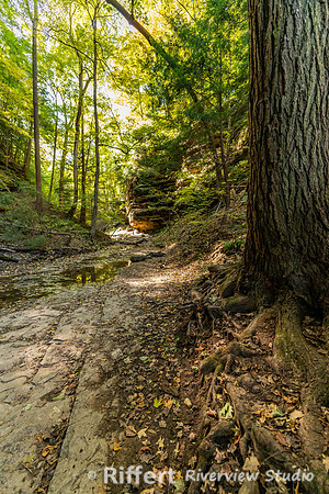 Shades State Park-12