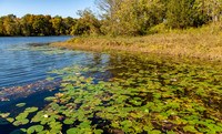 Shakamak State Park-16