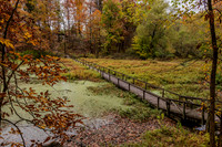Shakamak State Park-20