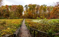 Shakamak State Park-22