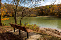 Autumn View