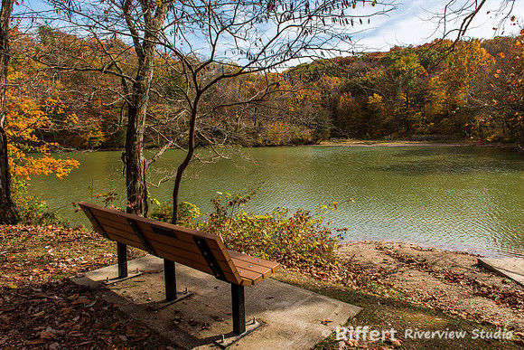 Autumn View