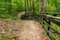 Trail 3
