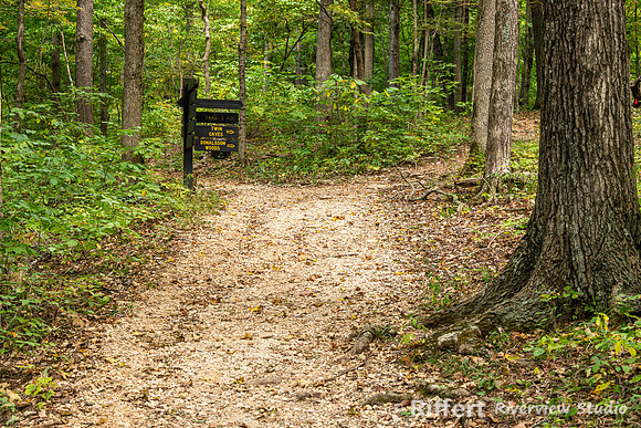 Trail 3-2
