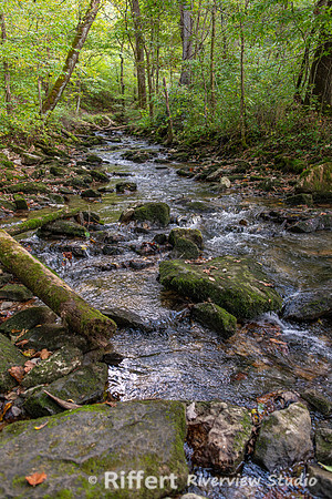 Mill Creek