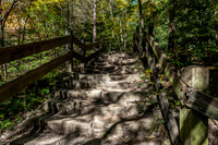 Turkey Run State Park-8