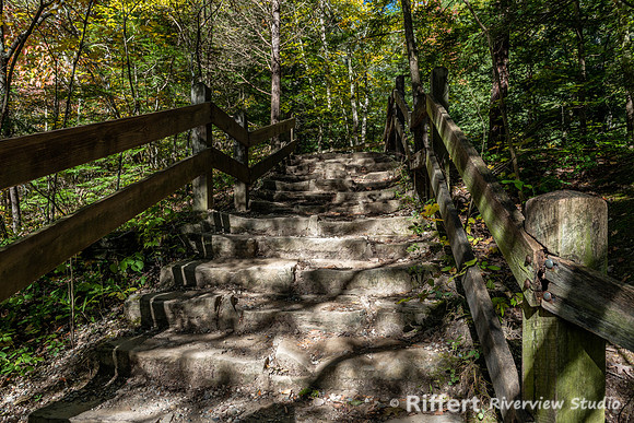 Turkey Run State Park-8
