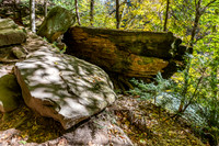 Turkey Run State Park-9