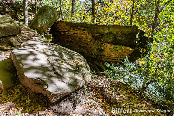 Turkey Run State Park-9