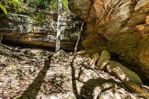 Turkey Run State Park-12