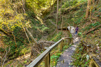 Turkey Run State Park-14