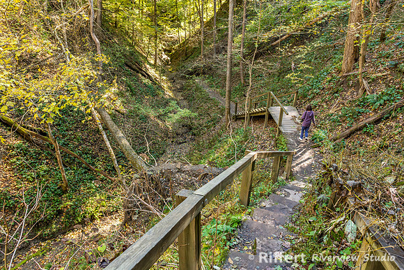 Turkey Run State Park-14