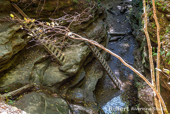Turkey Run State Park-15