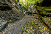 Turkey Run State Park-17