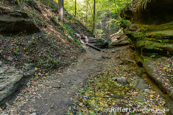 Turkey Run State Park-17