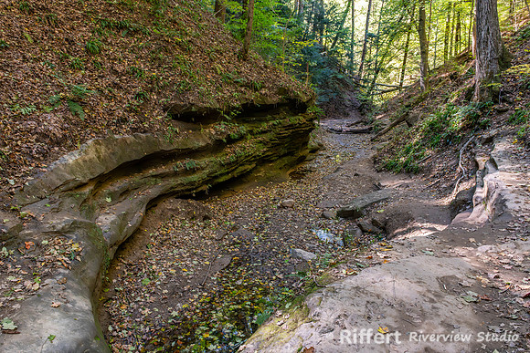 Turkey Run State Park-18