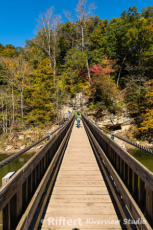 Turkey Run State Park-22