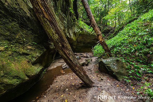 Trail 7-7