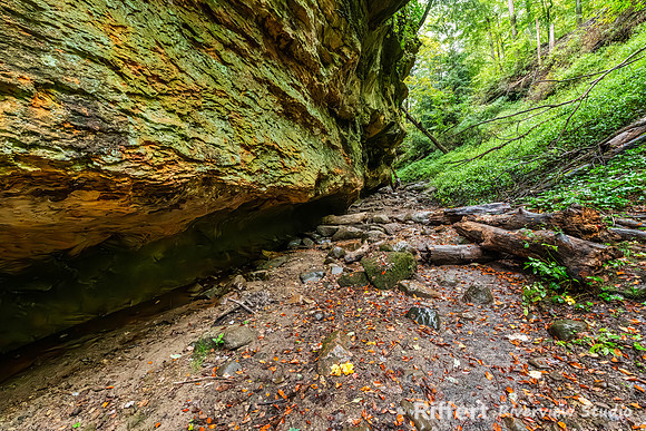 Trail 7-12