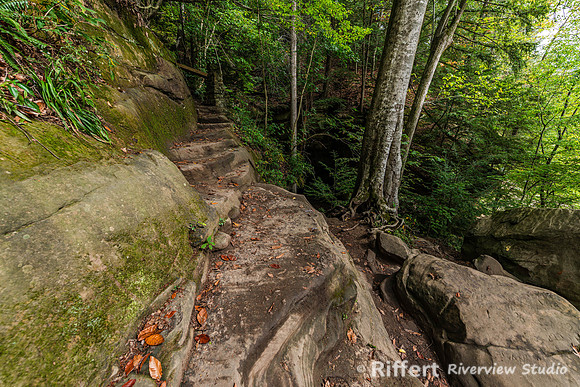 Trails 3-5-9-4